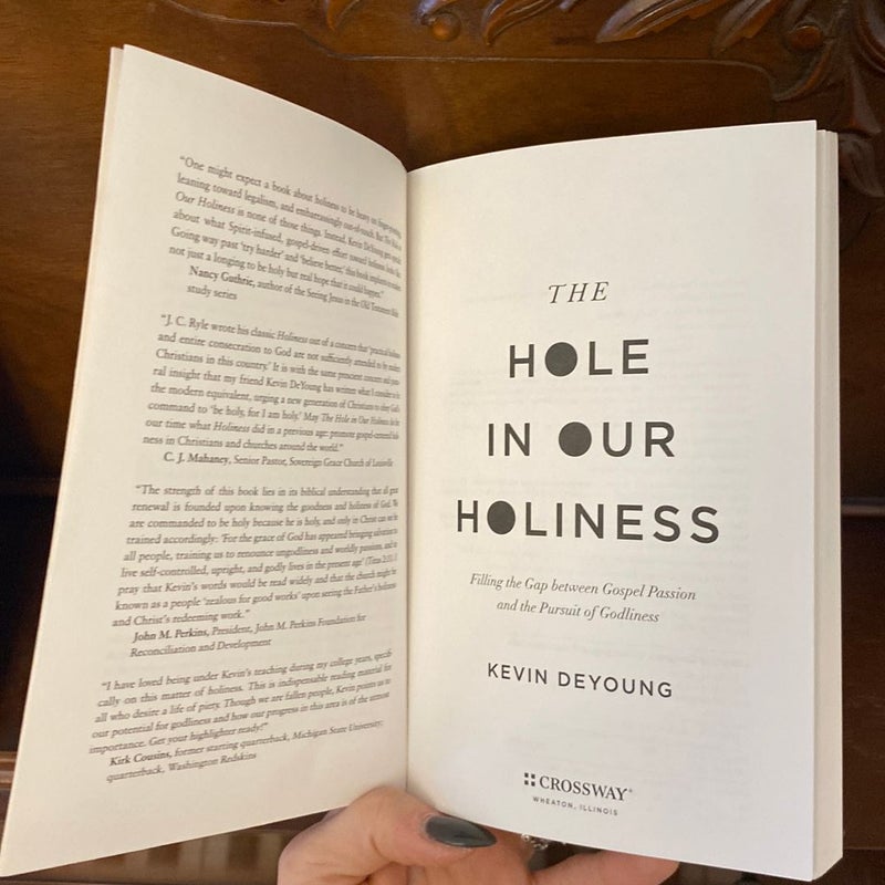 The Hole in Our Holiness