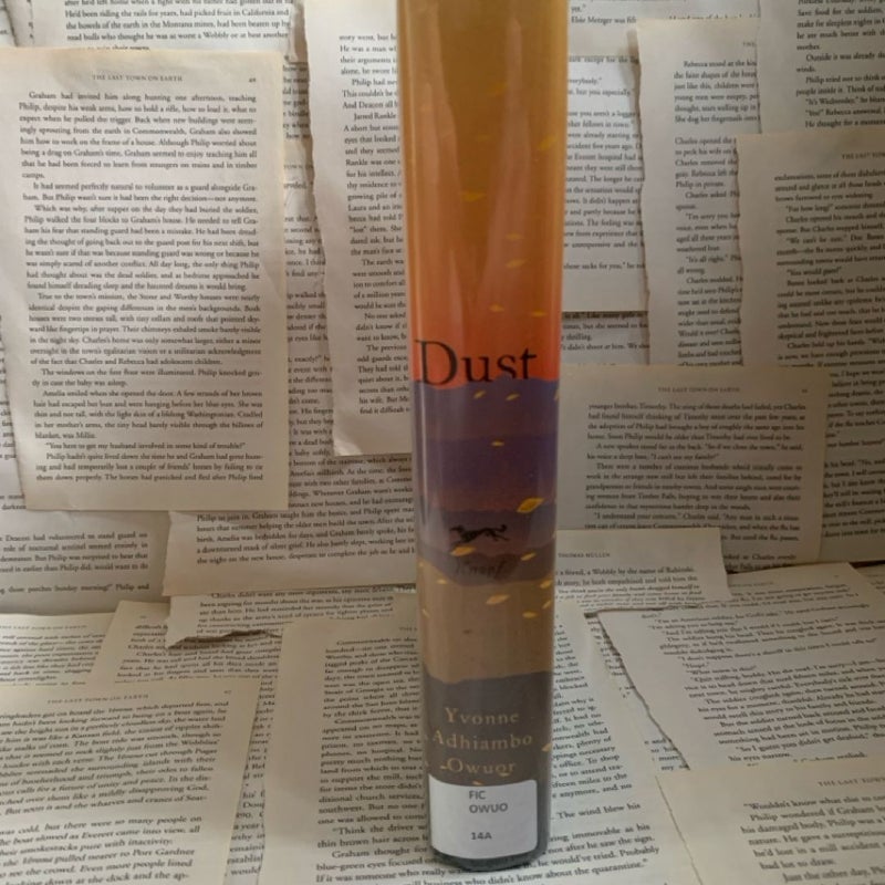 Dust by Yvonne Adhiambo Owur