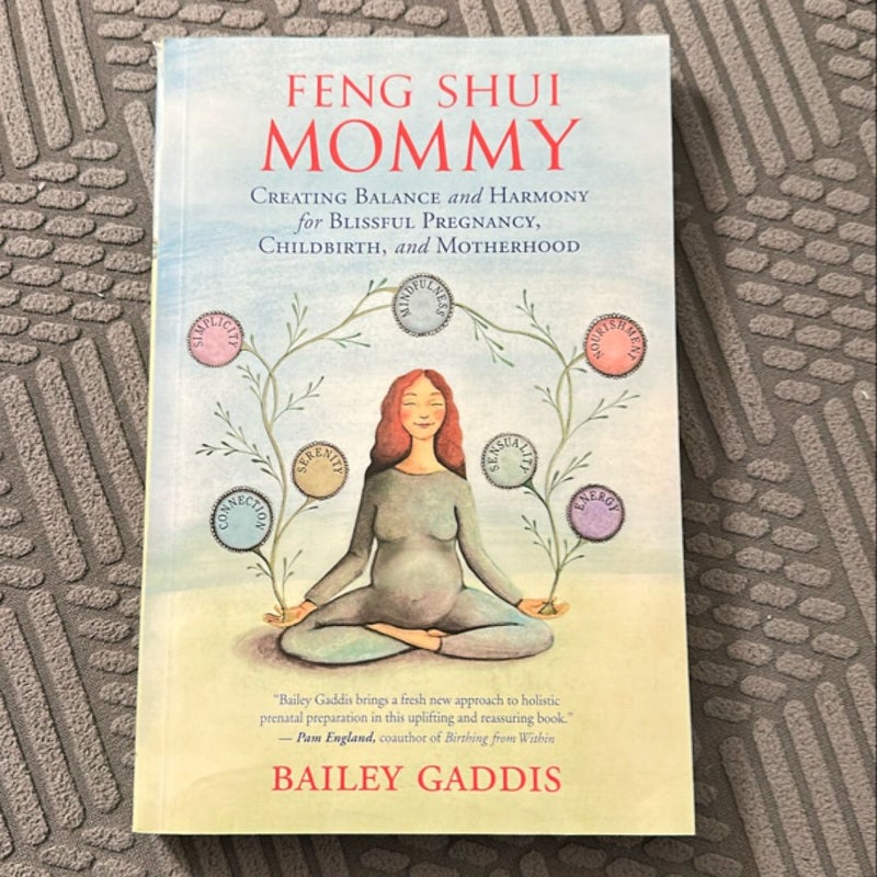 Feng Shui Mommy