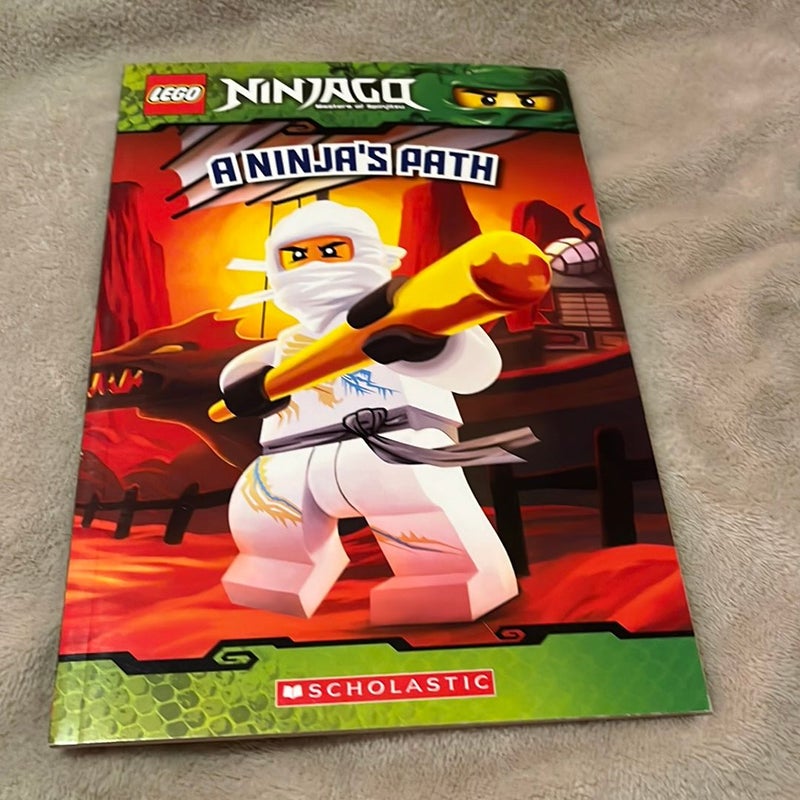 Lego Ninjagq 2-Book Lot (New)