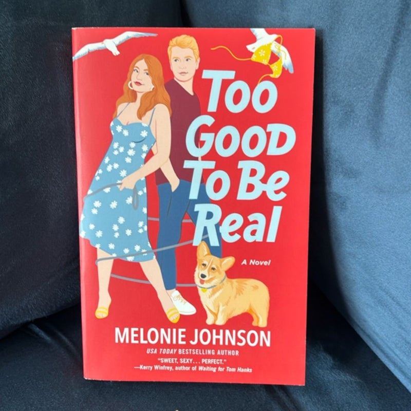 Too Good to Be Real