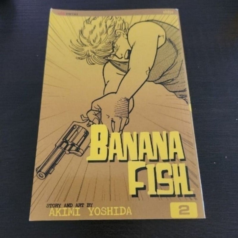 Banana Fish, Vol. 2