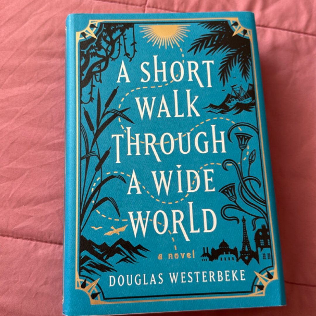 A Short Walk Through a Wide World