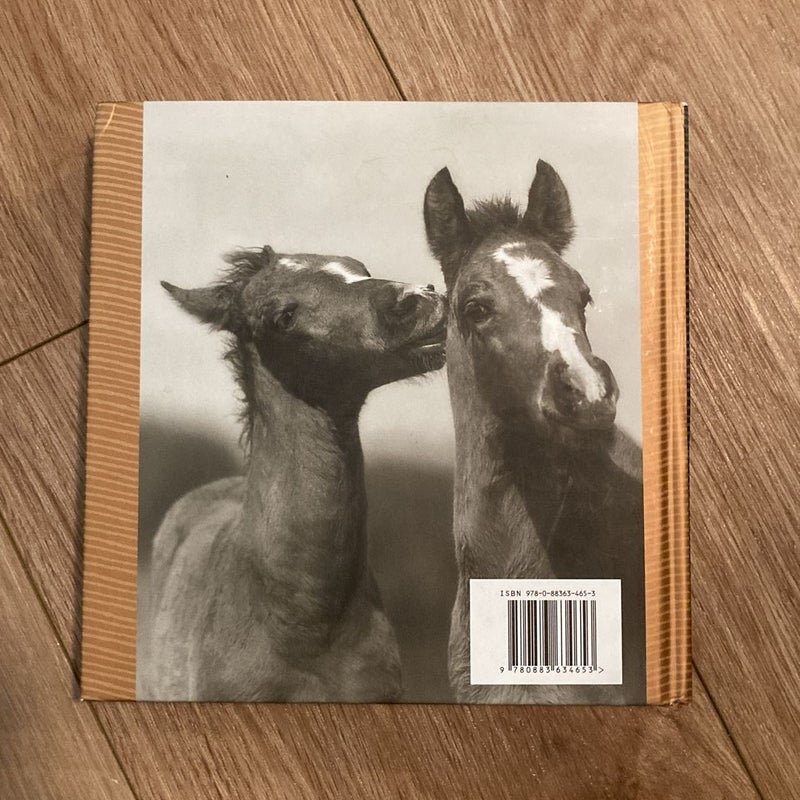 The Big Book of Horses