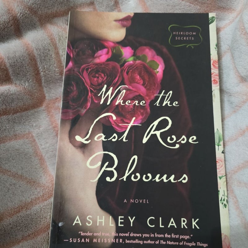 Where the Last Rose Blooms
