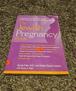 The Jewish Pregnancy Book