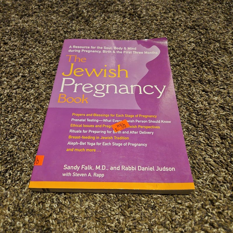 The Jewish Pregnancy Book