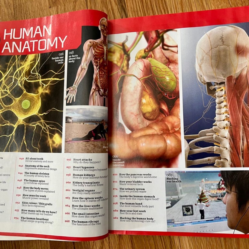 How it Works Book of THE HUMAN BODY 