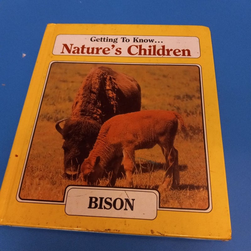 Bison