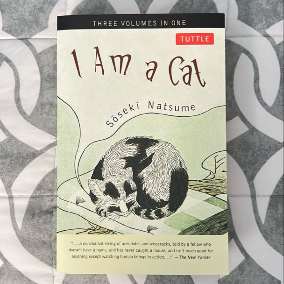 Sale image for f96b9961-5d56-4bd9-a3d9-33dc9ba4fcd0-Bv5Qt0OLqzL2fUXgUEZAp4ZBAFu2