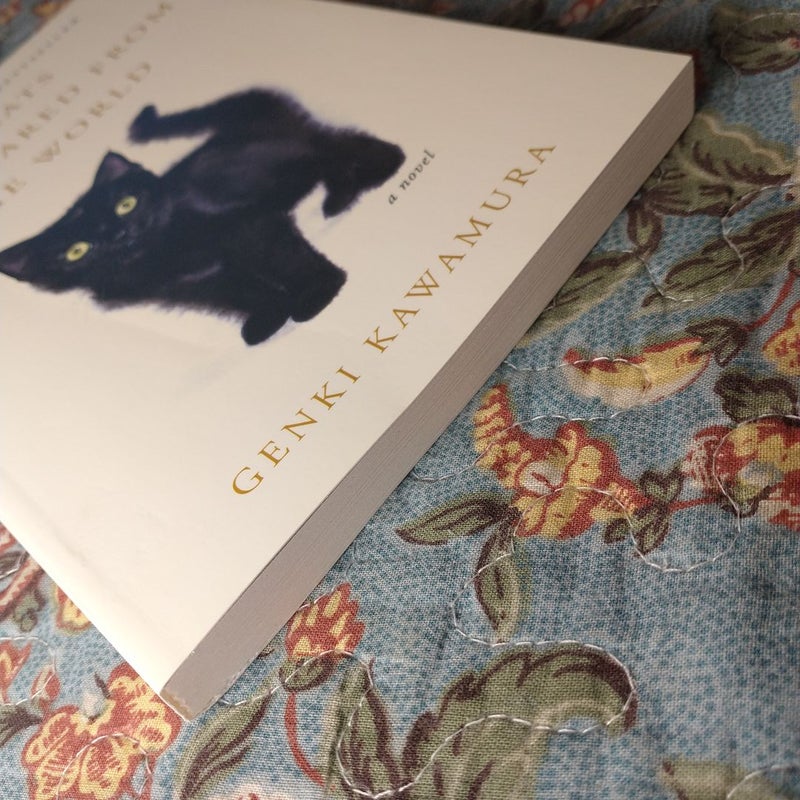 If Cats Disappeared from the World