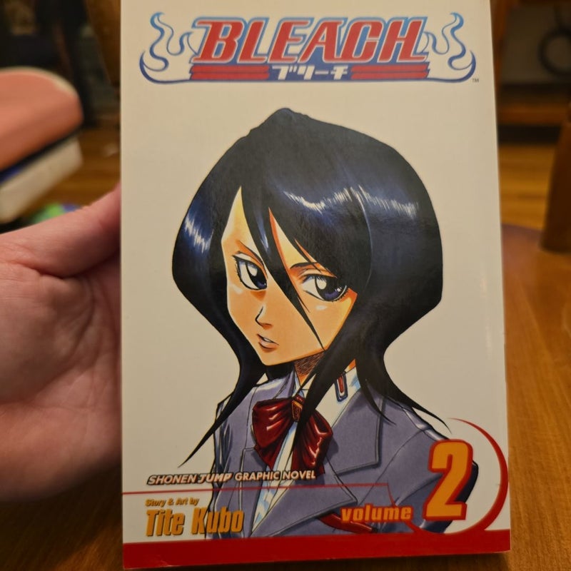 Bleach, Vol. 2