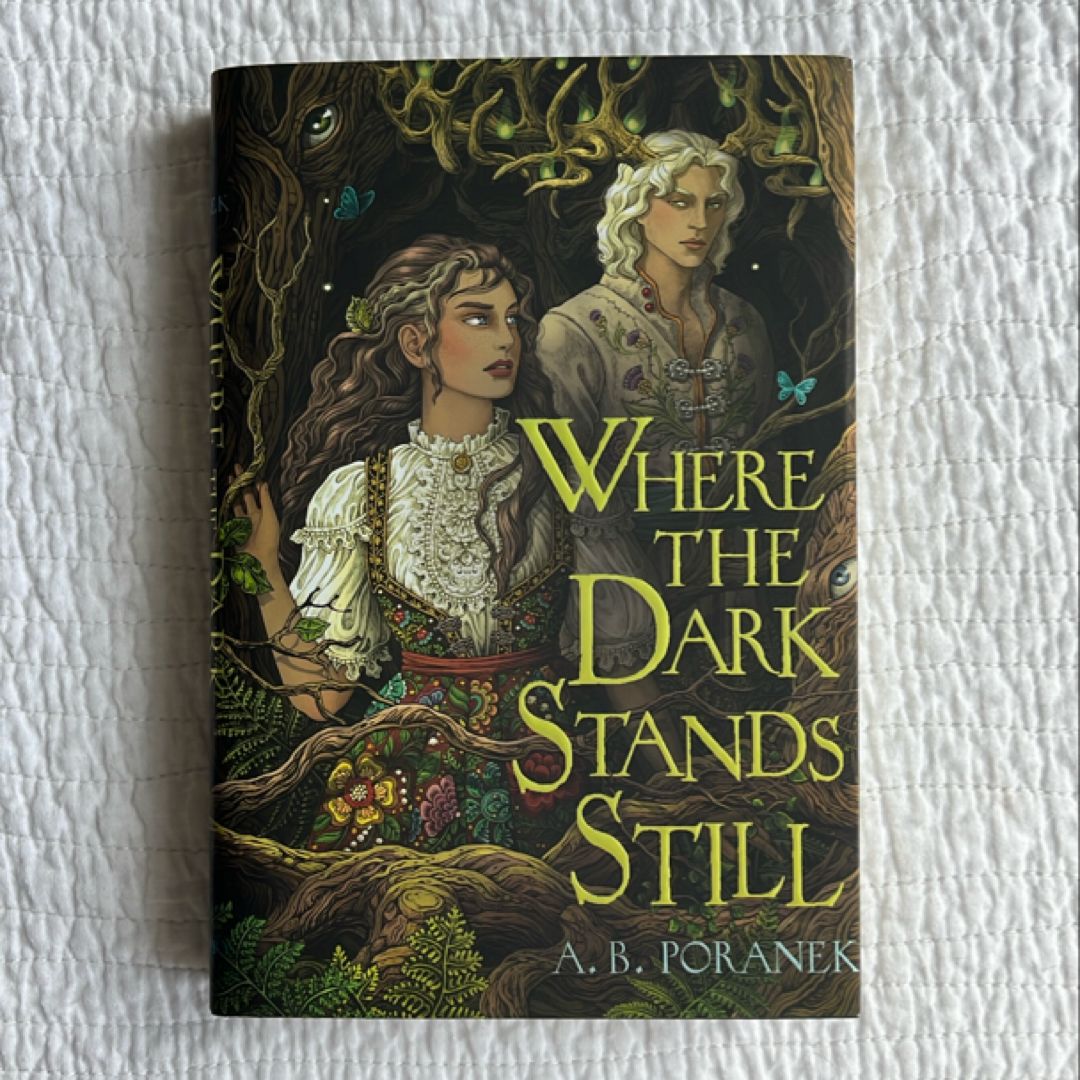 Where the Dark Stands Still