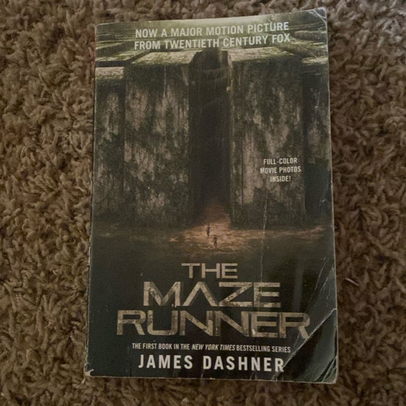 The Maze Runner