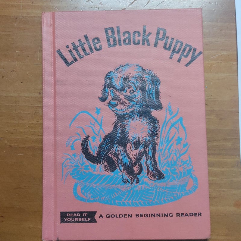 The Little Black Puppy