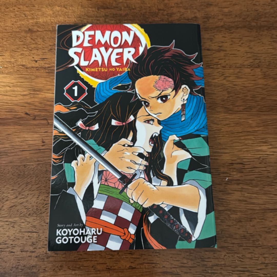 Demon Slayer: Kimetsu No Yaiba, Vol. 1