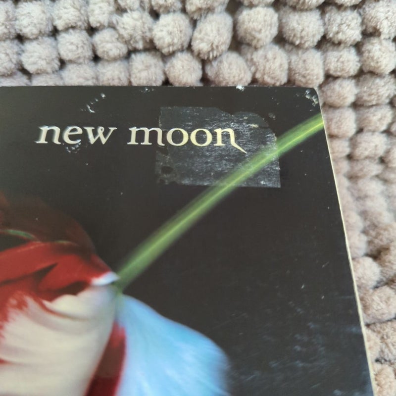 New Moon