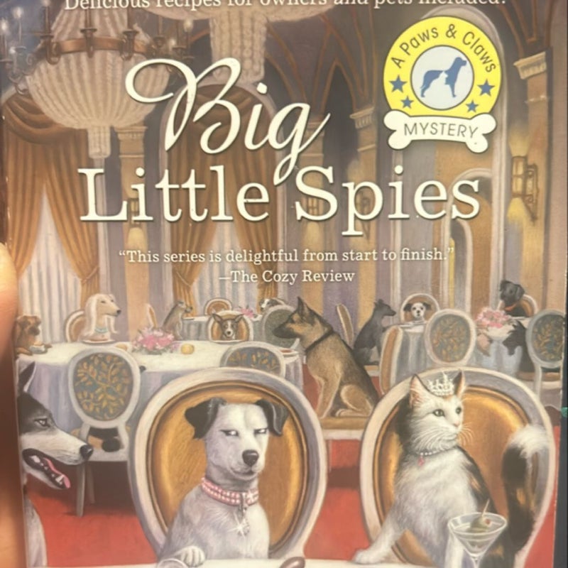 Big Little Spies