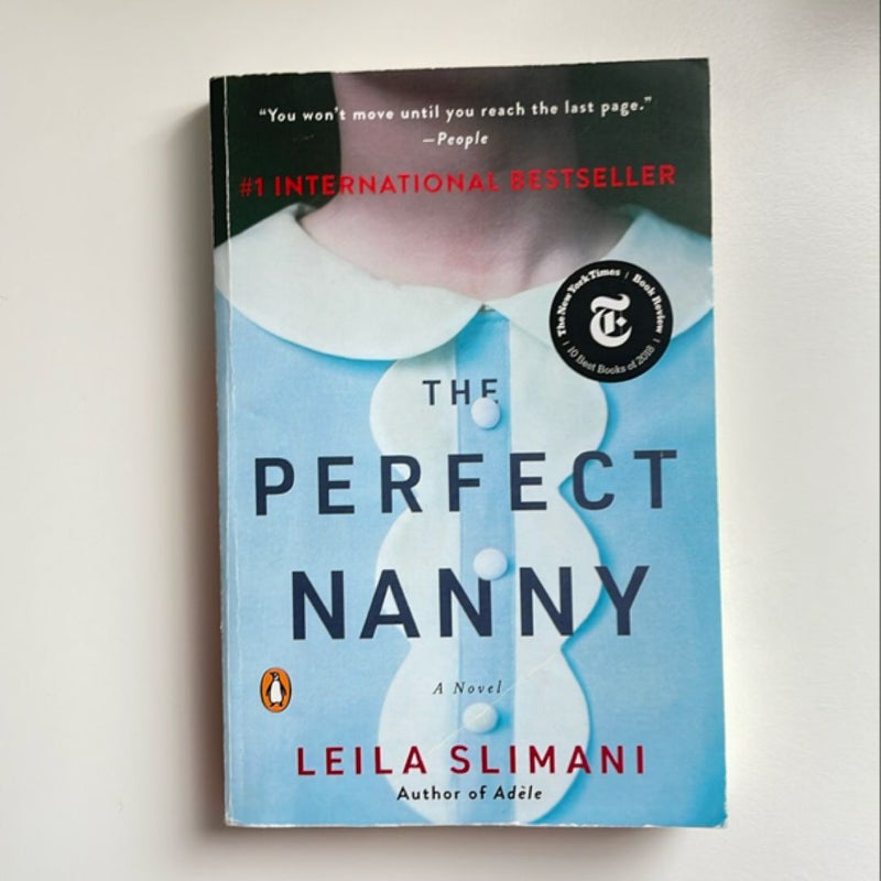 The Perfect Nanny