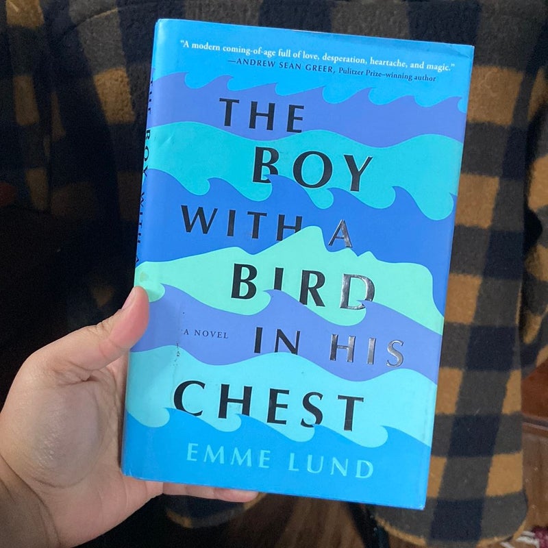 The Boy with a Bird in His Chest