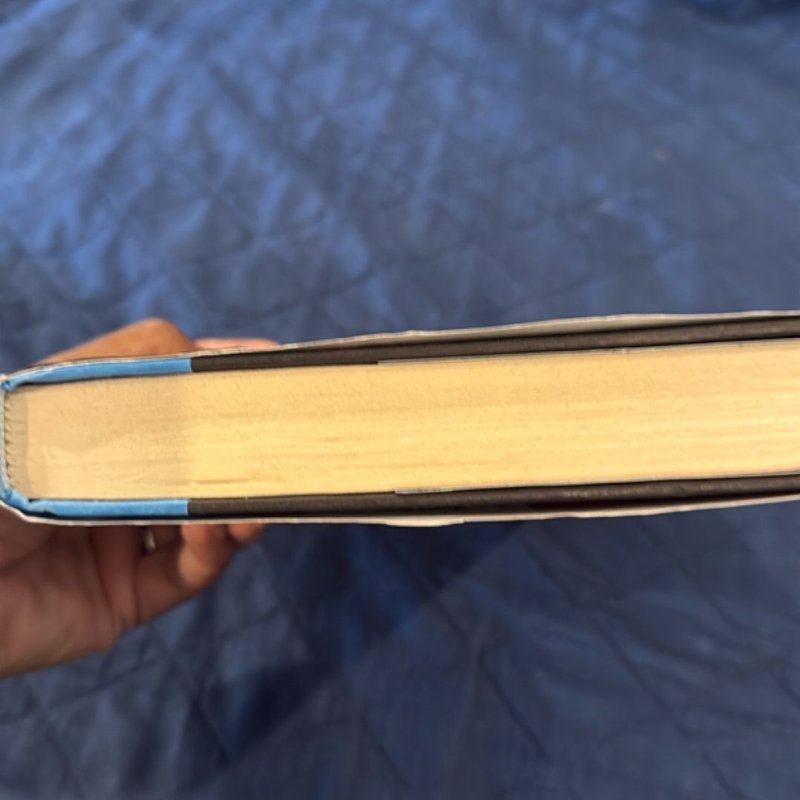 The Return of Ellie Black