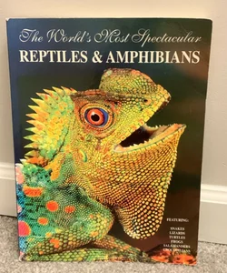 The World’s Most Spectacular Reptiles and Amphibians 