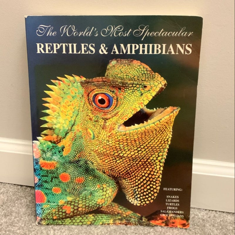 The World’s Most Spectacular Reptiles and Amphibians 