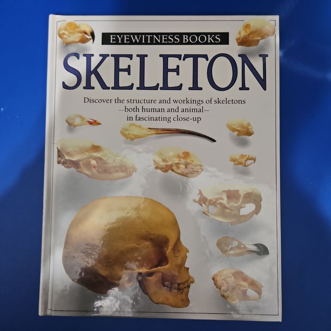 Skeleton - Eyewitness