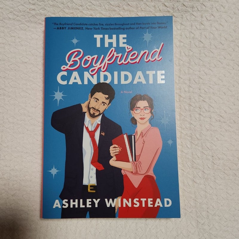 The Boyfriend Candidate