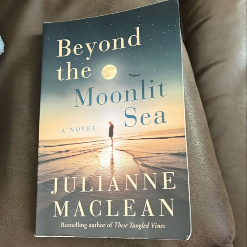 Beyond the Moonlit Sea