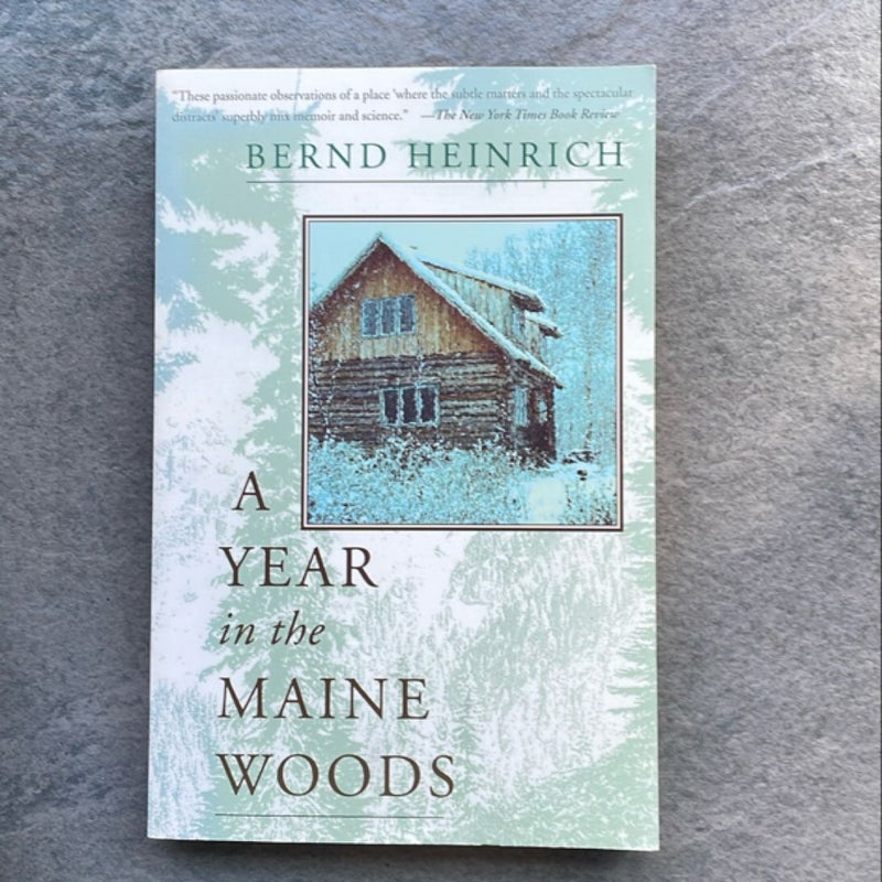 A Year in the Maine Woods