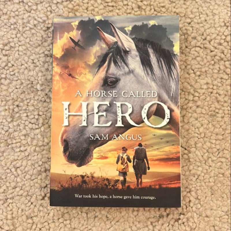 A Horse Called Hero