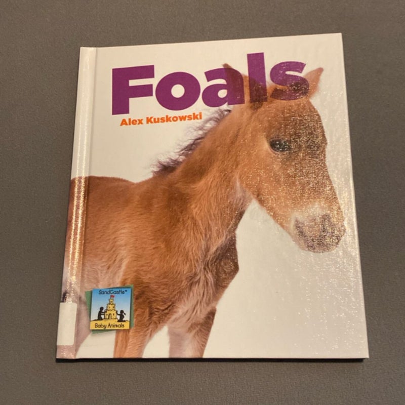 Foals