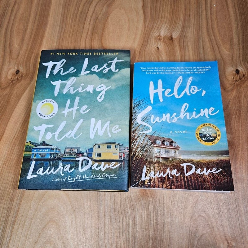 Laura Dave Books