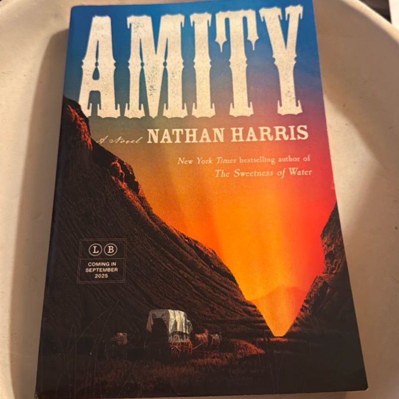 Amity by , Paperback | Pangobooks