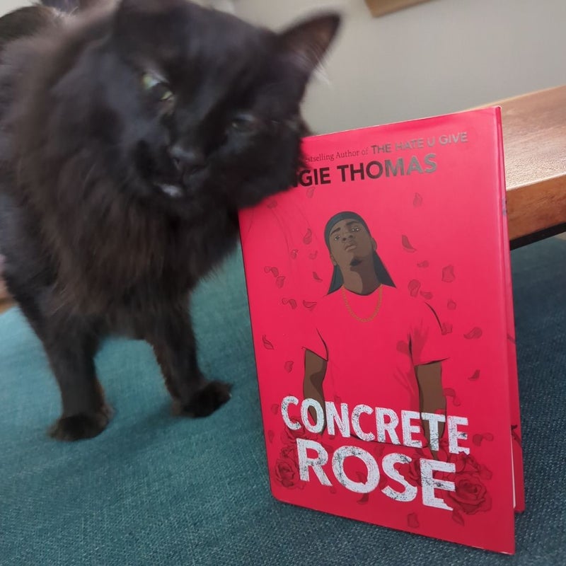 Concrete Rose