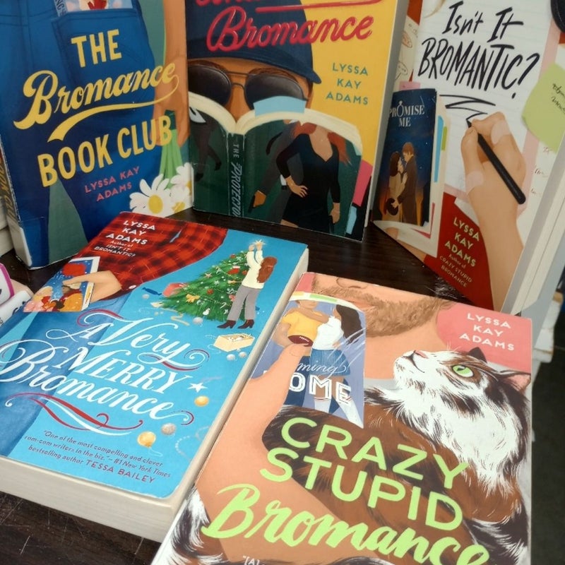 The Bromance book club books
