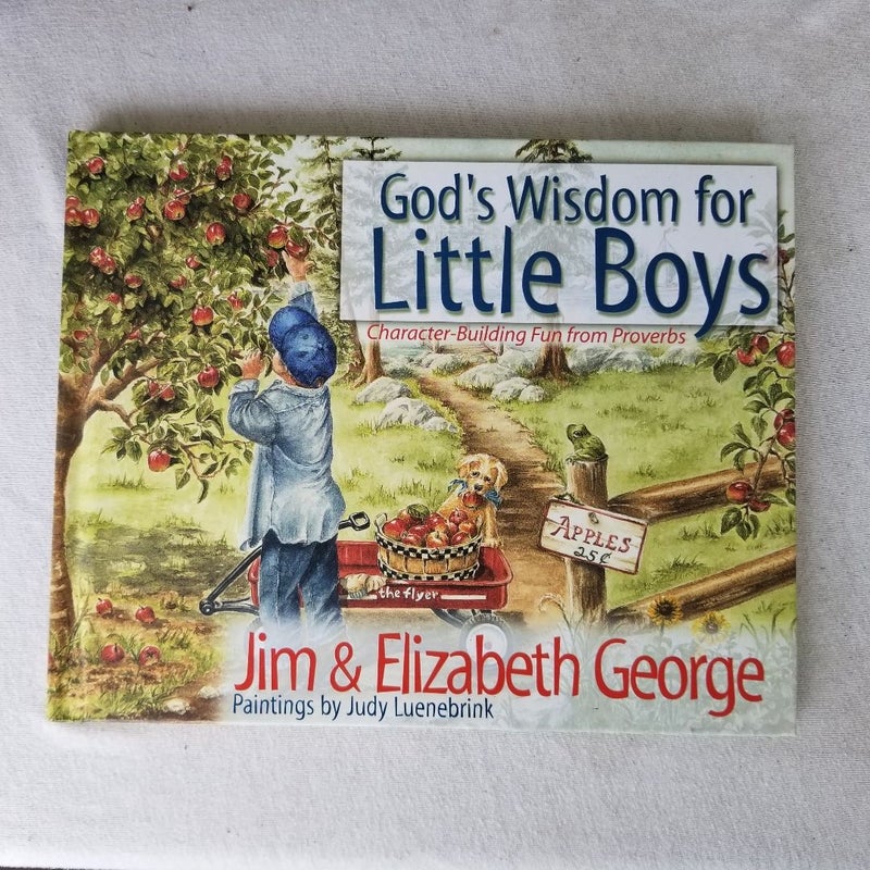 God's Wisdom for Little Boys