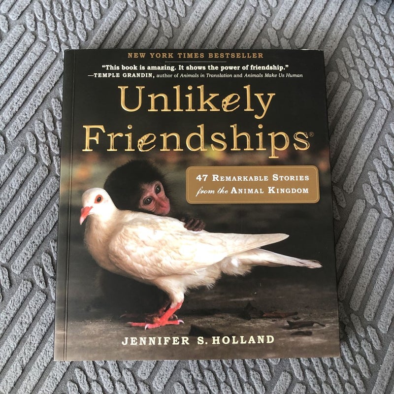 Unlikely Friendships
