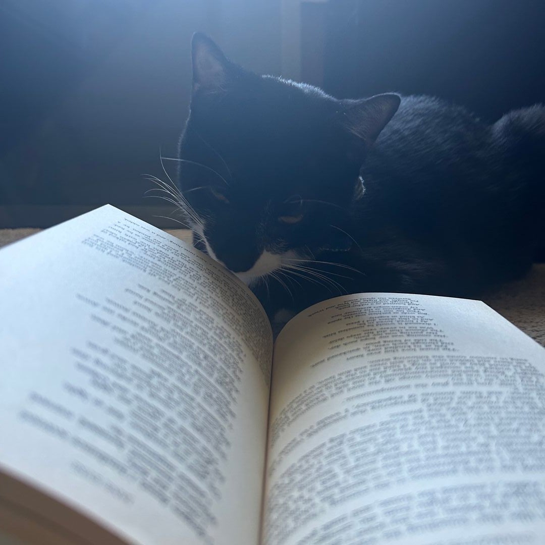 Sunny is well read.