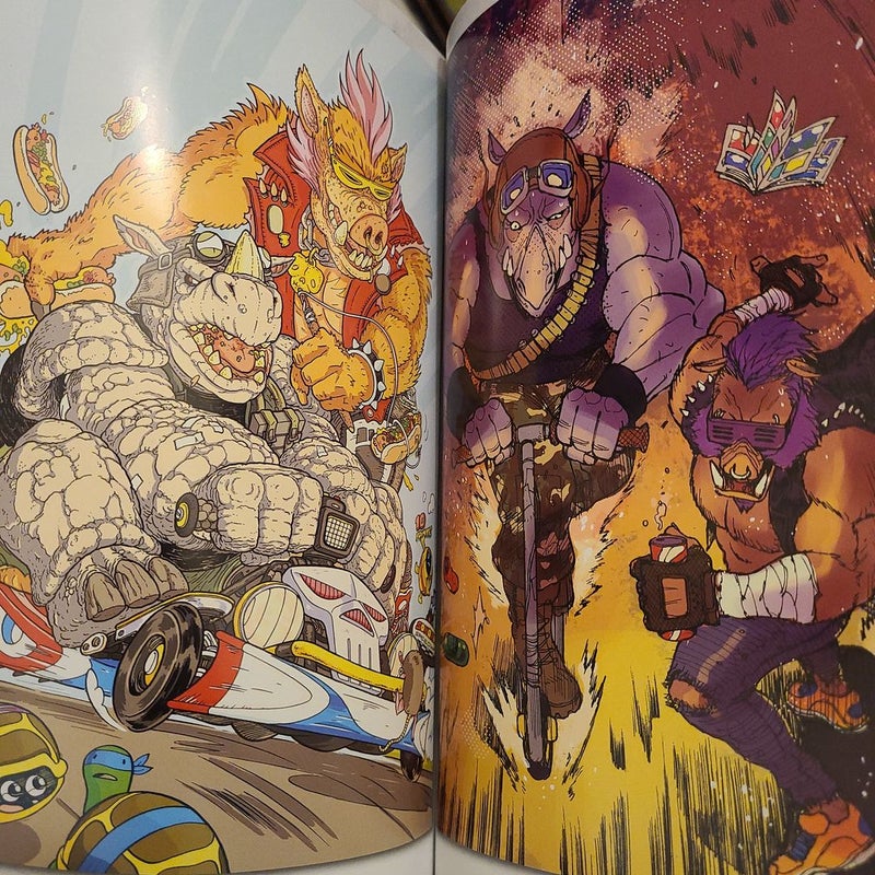 Teenage Mutant Ninja Turtles: Bebop and Rocksteady Hit the Road