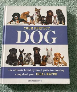 Your Perfect Dog