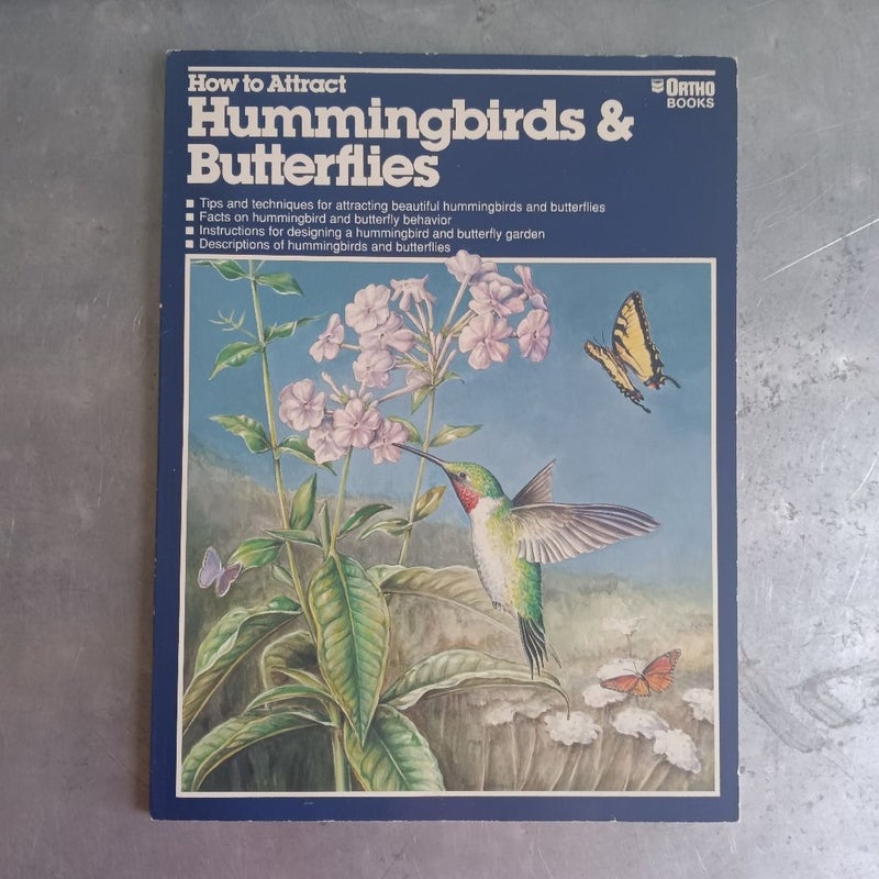 How to Attract Hummingbirds and Butterflies