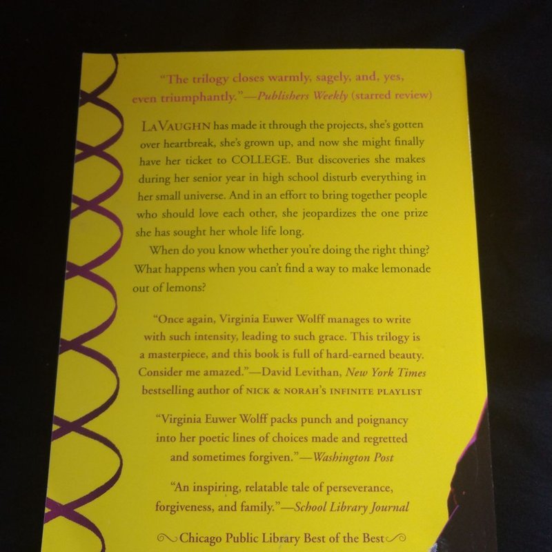 This Full House by Virginia Euwer Wolff
