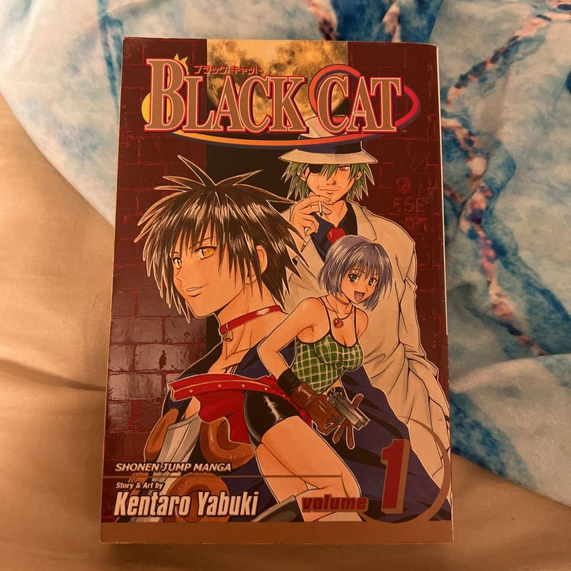 Black Cat, Vol. 1
