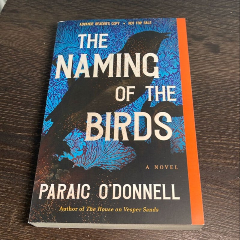 The Naming of the Birds
