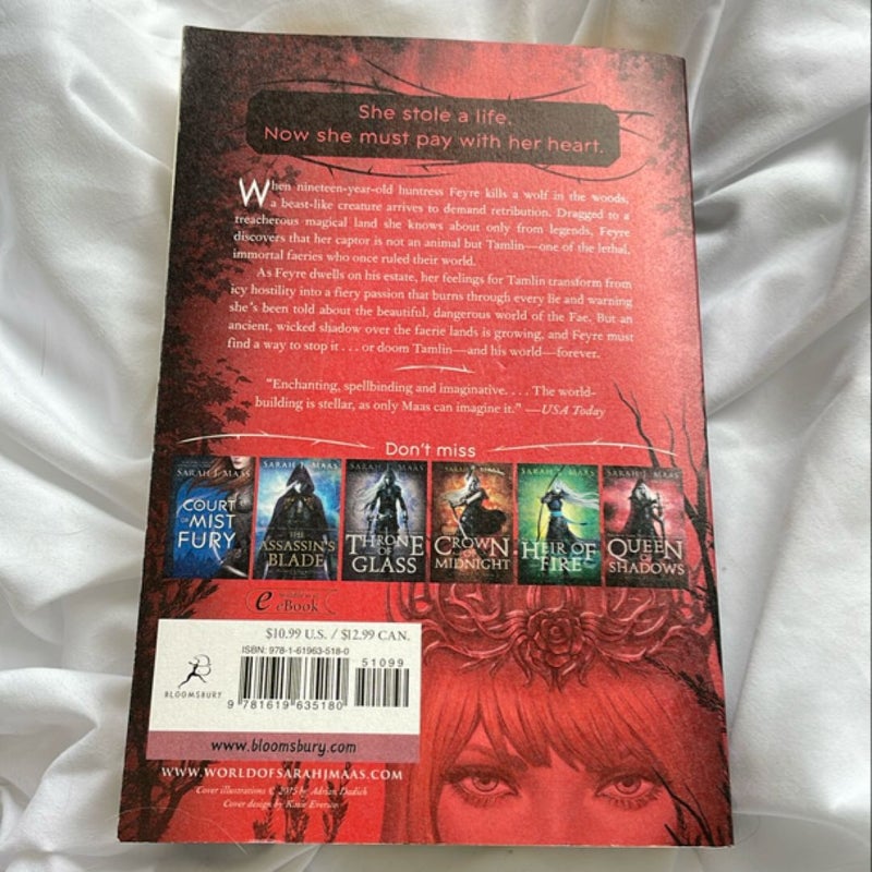 A Court of Thorns and Roses original paperback cover OOP