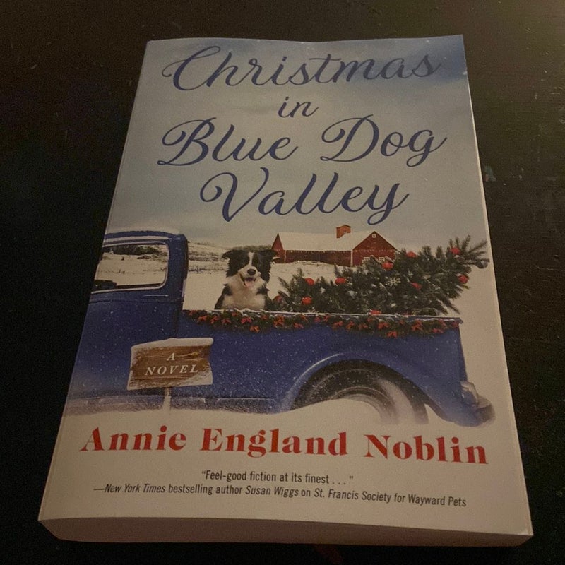 Christmas in Blue Dog Valley