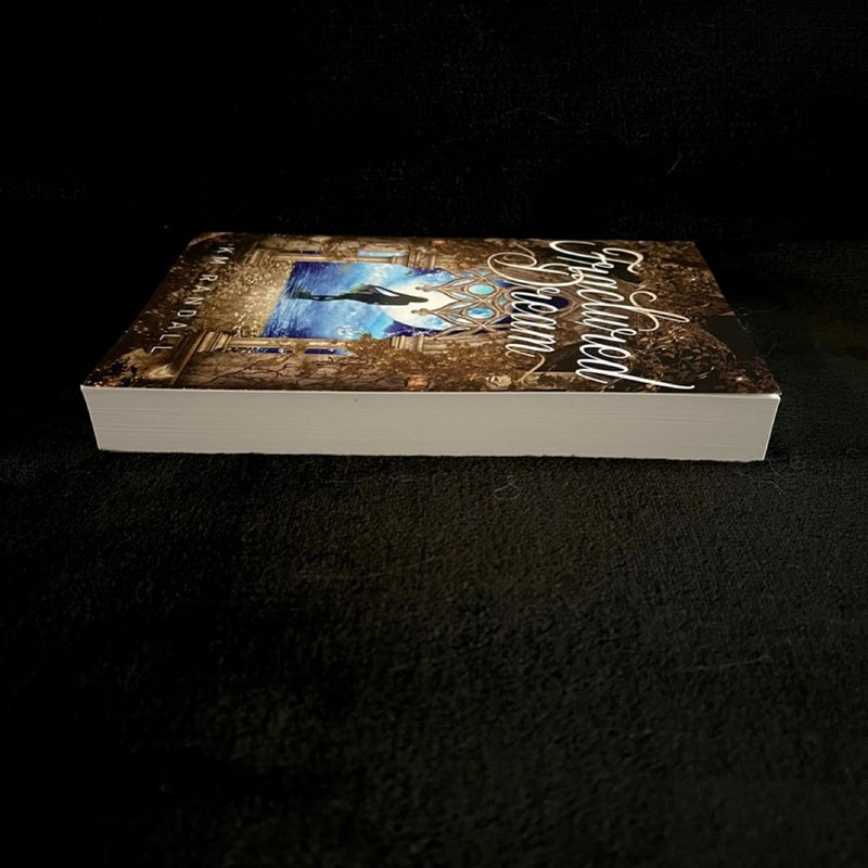 Fractured Dream (SIGNED)