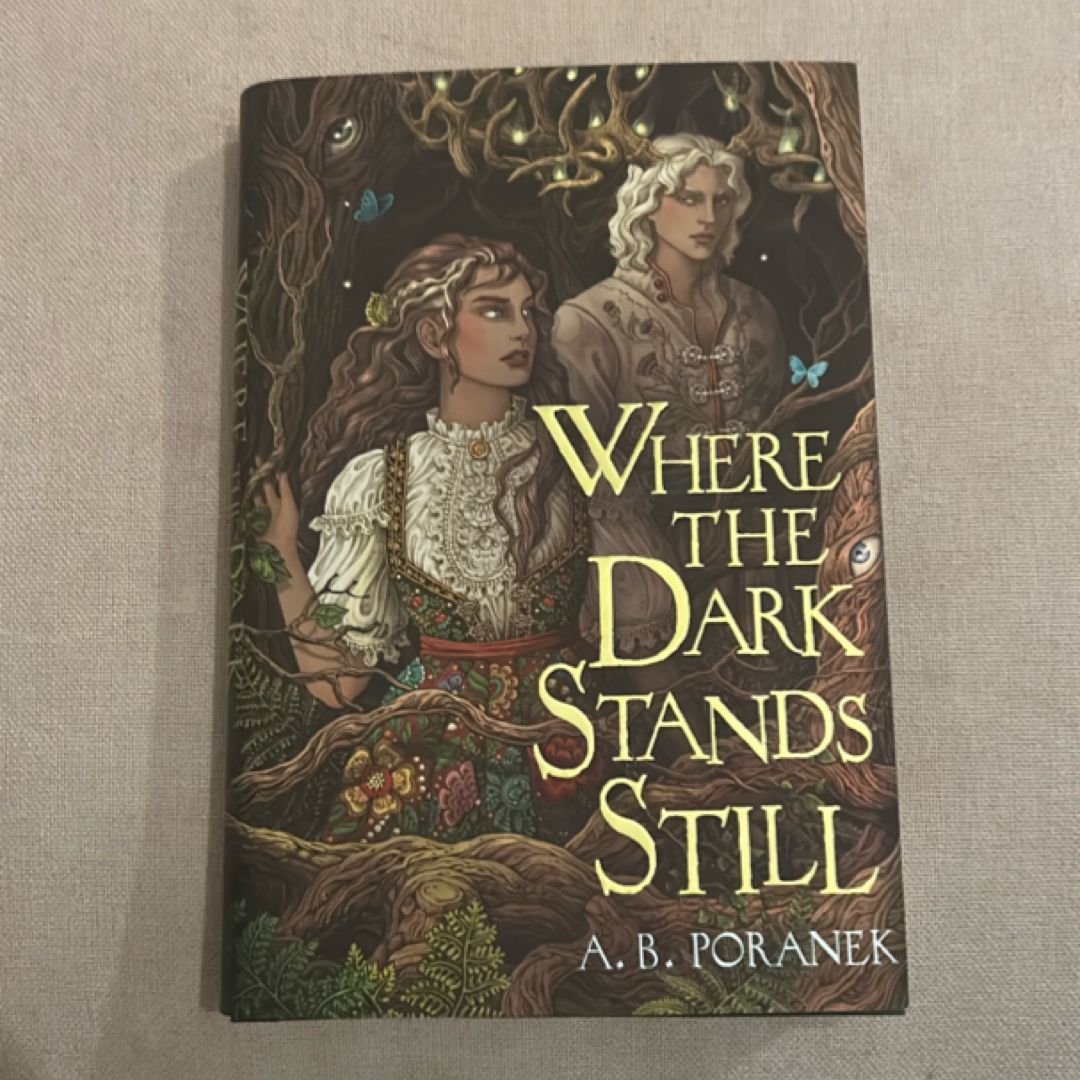 Where the Dark Stands Still